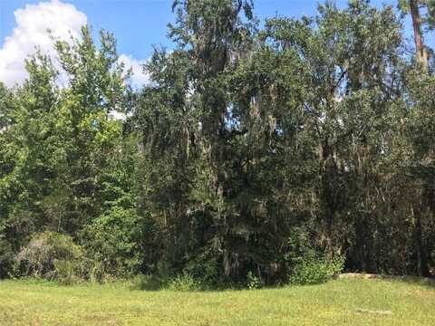 41025 E 20TH PLACE, MYAKKA CITY, FL 34251