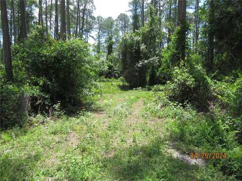 4643 WALNUT AVENUE, BUNNELL, FL 32110