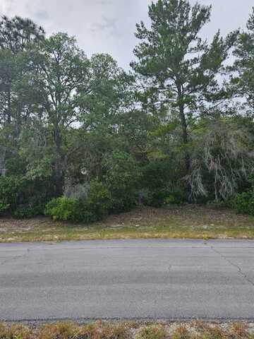 LOT 13 SW 145TH PLACE RD, DUNNELLON, FL 34432