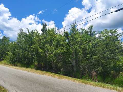 5410 BOB SMITH AVENUE, PLANT CITY, FL 33565