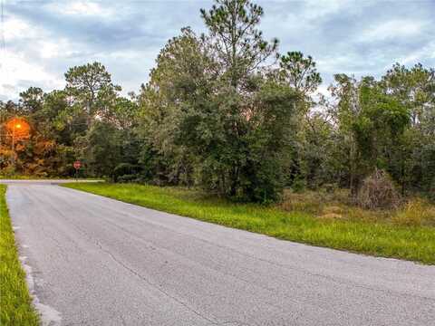 3029 E ANDERSON STREET, INVERNESS, FL 34453