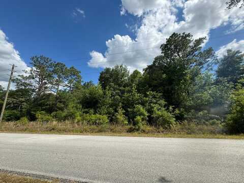 SEA CLIFF AVENUE, DUNNELLON, FL 34431