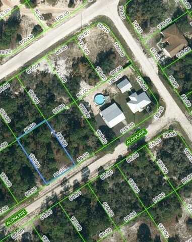 452 ALOHA AVENUE, LAKE PLACID, FL 33852