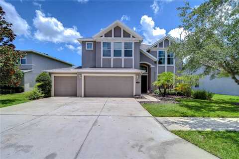 19354 YELLOW CLOVER DRIVE, TAMPA, FL 33647