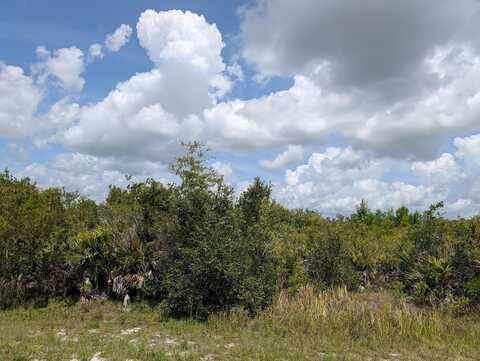 ST PETERSBURG DRIVE, INDIAN LAKE ESTATES, FL 33855