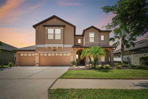 10646 MISTFLOWER LANE, TAMPA, FL 33647