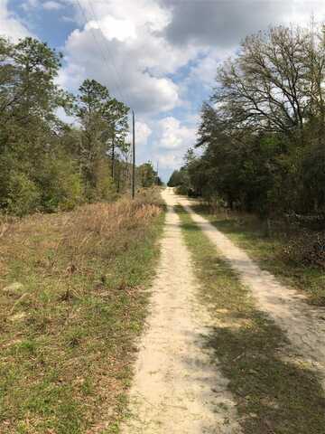 NE 63RD PL, WILLISTON, FL 32696