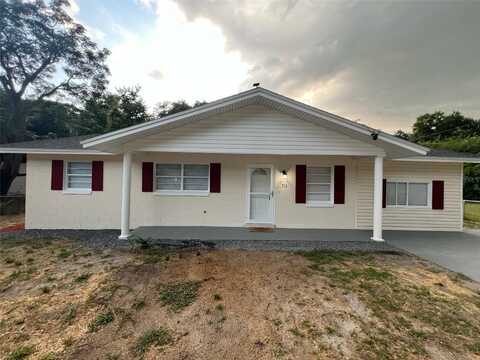 711 4TH STREET, WILDWOOD, FL 34785