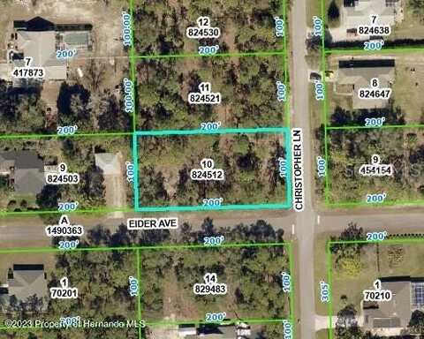 0 CHRISTOPHER LANE, WEEKI WACHEE, FL 34613