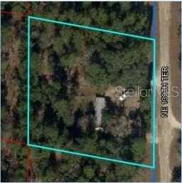 350 NE 139TH TERRACE, WILLISTON, FL 32696