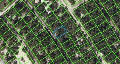 527 DREAMLAND DRIVE, LAKE PLACID, FL 33852