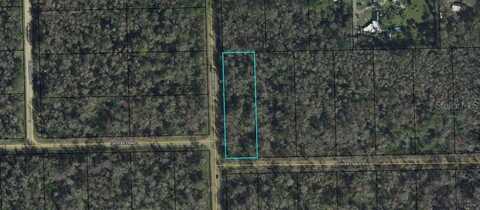 3936 EVERGREEN AVENUE, BUNNELL, FL 32110