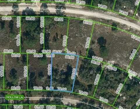 408 HOLLOW LANE, LAKE PLACID, FL 33852