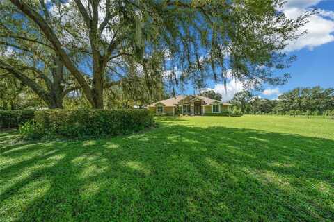 2338 MARION COUNTY ROAD, WEIRSDALE, FL 32195