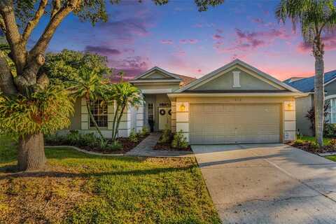 19113 GOLDEN CACOON PLACE, LUTZ, FL 33558