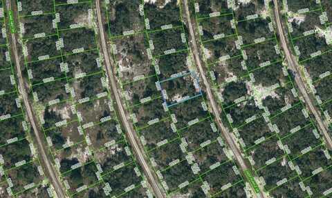 218 DEEP PURPLE DRIVE, LAKE PLACID, FL 33852