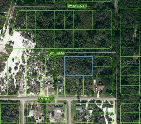 1515 RAINTREE STREET, LAKE PLACID, FL 33852