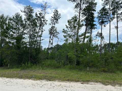 Tbd SE 58TH LANE, MORRISTON, FL 32668