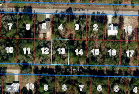 Lot 13 NE 12TH LN, WILLISTON, FL 32696