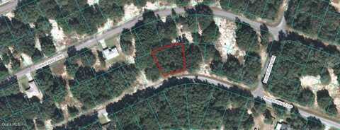 00 FISHER WAY LOOP, OCKLAWAHA, FL 32179