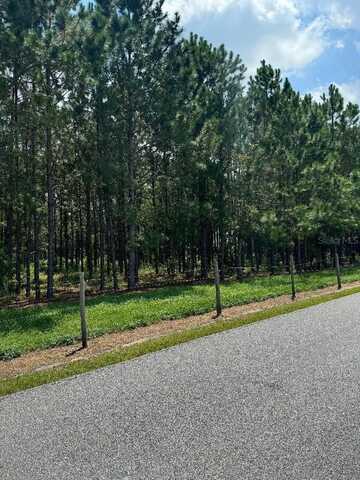 00 CR 227 ROAD, OXFORD, FL 34484