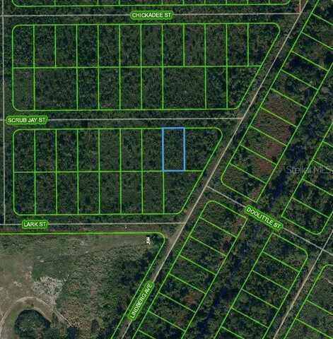 1435 SCRUB JAY STREET, LAKE PLACID, FL 33852