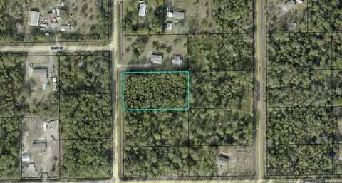 2891 AVOCADO BOULEVARD, BUNNELL, FL 32110