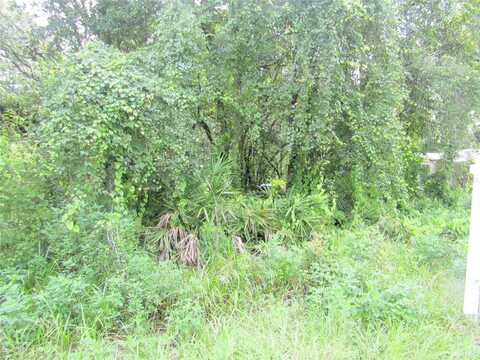 LOT 8, NEW PORT RICHEY, FL 34654