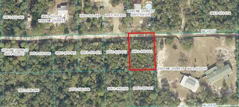 NE 236 ST, FORT MC COY, FL 32134