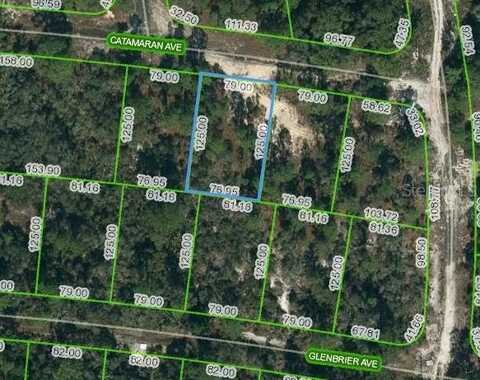 337 CATAMARAN AVENUE, LAKE PLACID, FL 33852