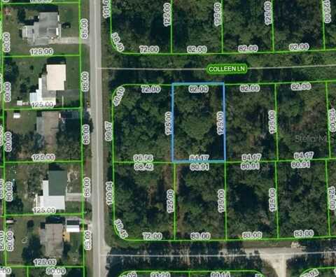 205 COLLEEN LANE, LAKE PLACID, FL 33852