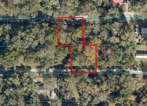 3153 NE 160TH LANE, CITRA, FL 32113