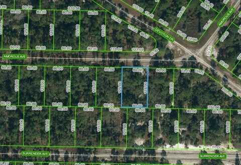 427 AMOROUS AVENUE, LAKE PLACID, FL 33852