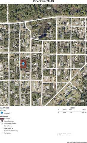 Lots 7-13 PINE STREET, PAISLEY, FL 32767