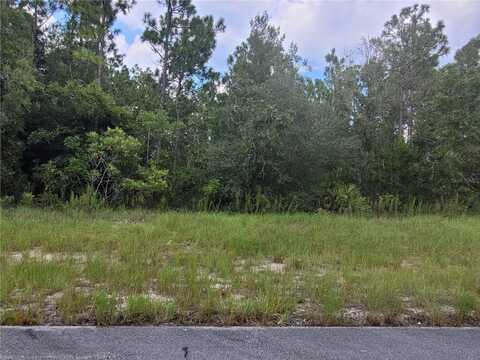 SW 135 STREET, OCALA, FL 34473