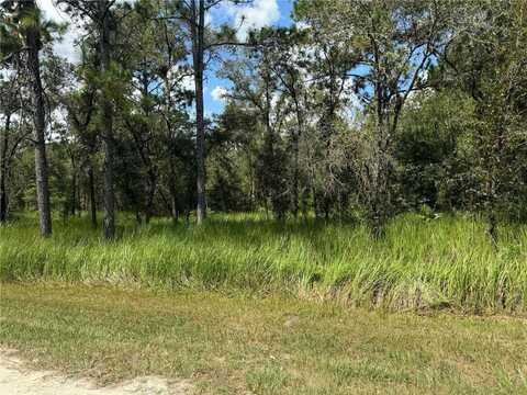 0000 SW 125TH COURT RD, DUNNELLON, FL 34432