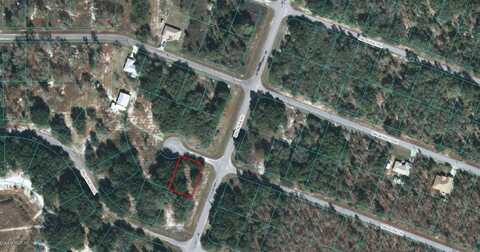 00 MALAUKA DRIVE, OCKLAWAHA, FL 32179