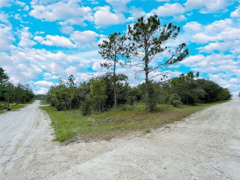 14250 SE 2ND STREET, WILLISTON, FL 32696