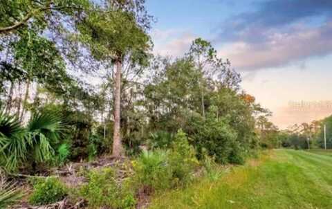 229 LAISY DRIVE, GEORGETOWN, FL 32139