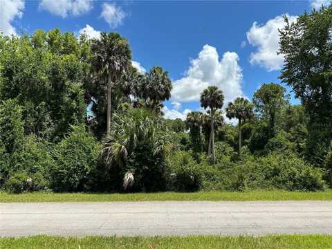 820 PARADISE BOULEVARD, GEORGETOWN, FL 32139