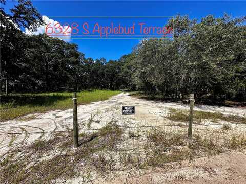 6328 S APPLEBUD TERRACE, LECANTO, FL 34461