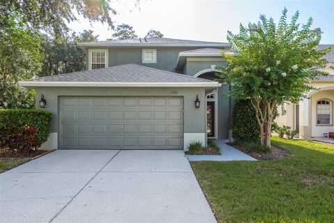 7746 CITRUS BLOSSOM DRIVE, LAND O LAKES, FL 34637