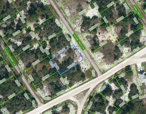 602 HOUSE FINCH DRIVE, LAKE PLACID, FL 33852