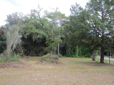 16781 E FORT KING STREET, SILVER SPRINGS, FL 34488