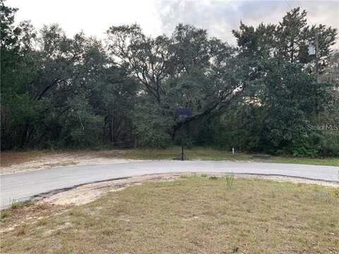 3192 BEAVER AVENUE, SPRING HILL, FL 34609