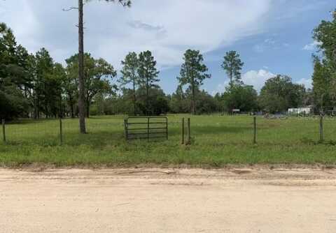 00 NE 136TH TERRACE, WILLISTON, FL 32696