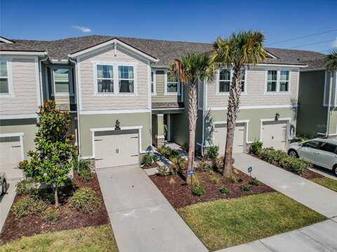 17813 STELLA MOON PLACE, LUTZ, FL 33558