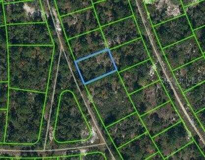 387 BLUE HORIZON DRIVE, LAKE PLACID, FL 33852