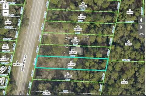 7338 TREIMAN BOULEVARD, WEBSTER, FL 33597