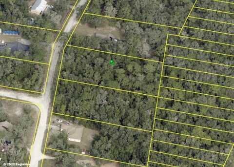 KNOXVILLE DRIVE, WEBSTER, FL 33597